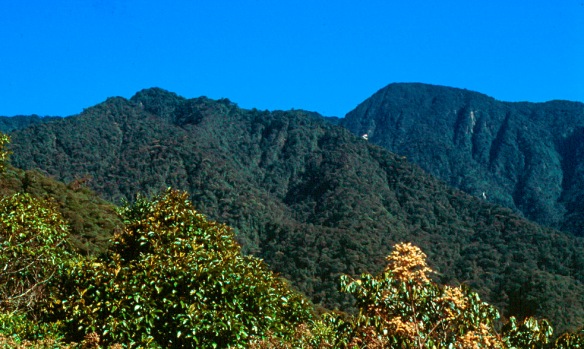 Cerro Mayordomo. Photo: Lou Jost/EcoMinga.